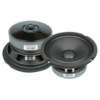 Эстрадная акустика AudioBeat Forte FM65