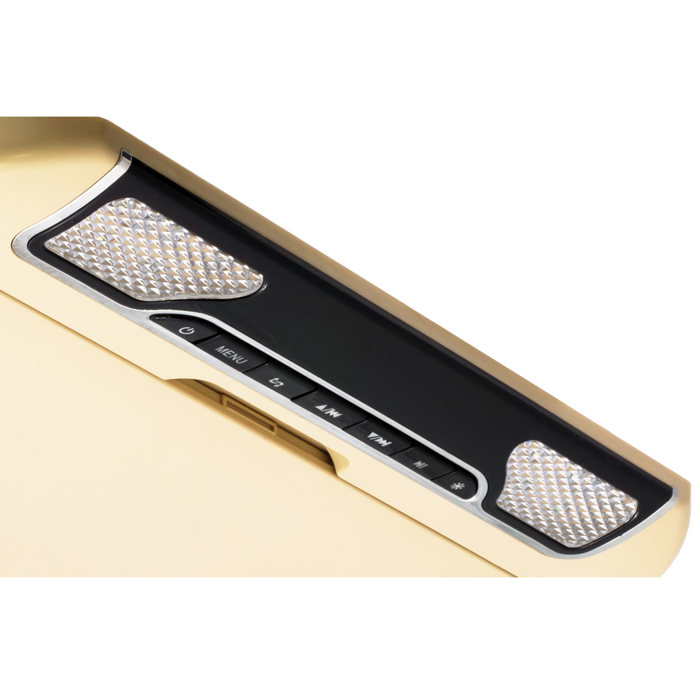 Потолочный монитор Clayton SL-1330 BE 13.3 дюйма