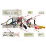 Переходная рамка Toyota Land Cruiser Prado AWM 881-07-077