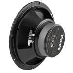 Эстрадная акустика Voice ST-200