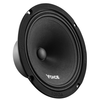 Эстрадная акустика Voice ST-200