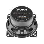Эстрадная акустика Voice ST-100
