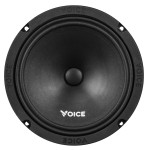 Эстрадная акустика Voice ST-200