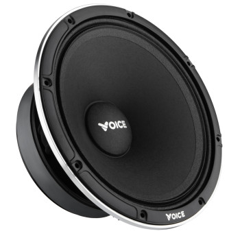 Эстрадная акустика Voice EX-80L