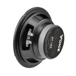 Эстрадная акустика Voice ST-165