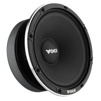 Естрадна акустика Voice EX-65L