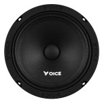 Эстрадная акустика Voice PX-165