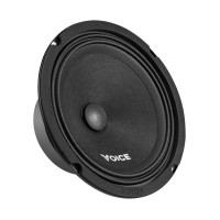 Эстрадная акустика Voice ST-165