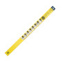 Бескаркасная щетка Winso X-Treme 30/750мм