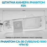 Штатна відеокамера заднього огляду PHANTOM CA-36 CVBS/AHD 1080+FM-10 (Kia)