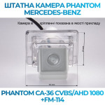 Штатна відеокамера заднього огляду PHANTOM CA-36 CVBS/AHD 1080+FM-114 (Mercedes-Benz)