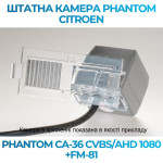Штатна відеокамера заднього огляду PHANTOM CA-36 CVBS/AHD 1080+FM-81 (Citroen)